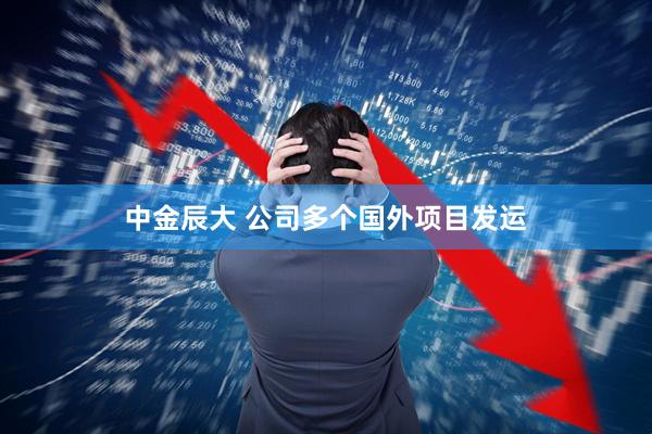 中金辰大 公司多个国外项目发运
