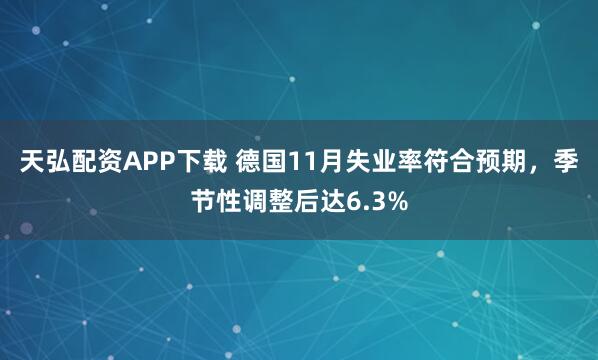 天弘配资APP下载 德国11月失业率符合预期，季节性调整后达6.3%